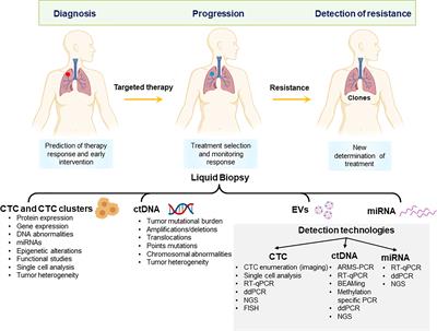 Clinical Applications of Circulating Tumour Cells and Circulating Tumour DNA in Non-Small Cell Lung Cancer—An Update